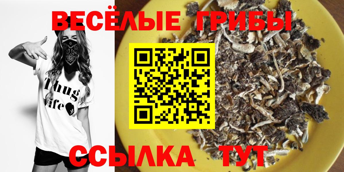 Галлюциногенные грибы прущие грибы Гусь-Хрустальный
